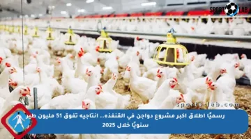 رسميًا إطلاق أكبر مشروع دواجن في القنفذة.. إنتاجية تفوق 51 مليون طير سنويًا خلال 2025